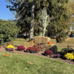 Tynic-seasonal-color-fall-hero16x9-Medium