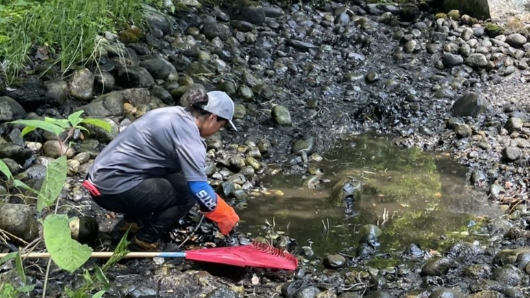 Tynic team pond cleaning