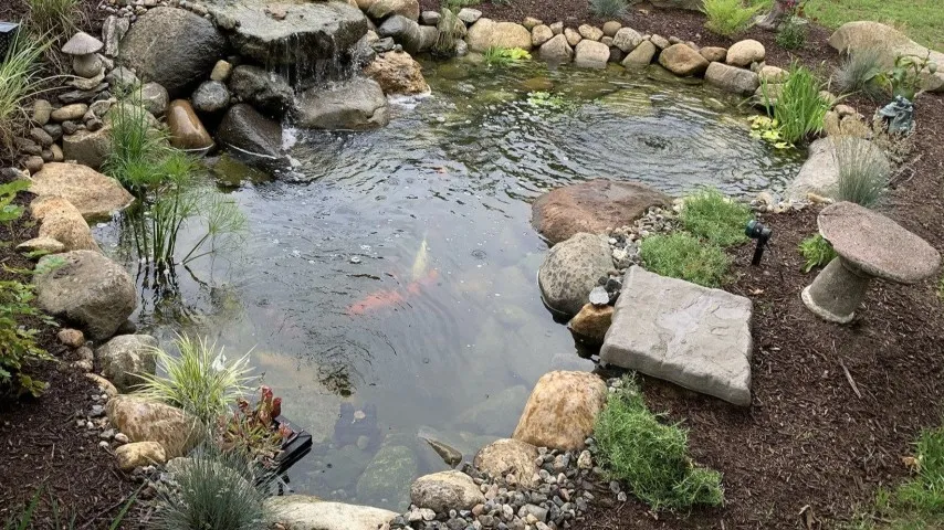 Built koi pond with waterfall and stone edging