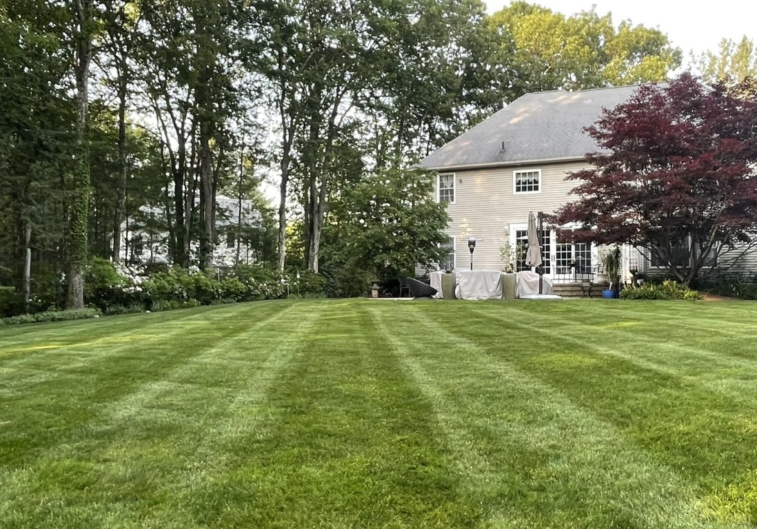 Tynic-landscaping-backyard16x9-Medium